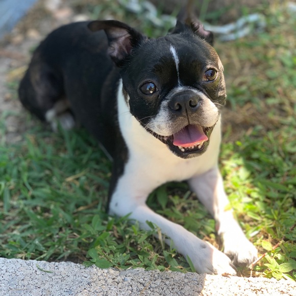 Meet your Posher, Tori - Picture 1 of 1